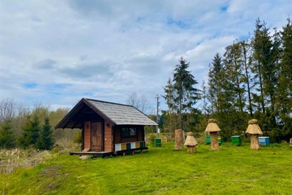 Pasirinkta pramoga Kalniaus sodyboje