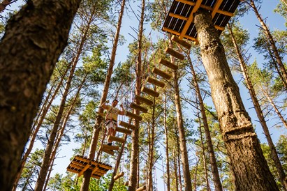 Pramogos nuotykių parke „Miškas“
