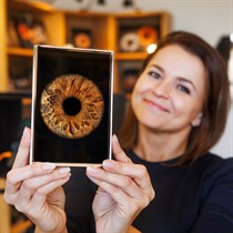 Skaitmeninė 1 akies rainelės nuotrauka