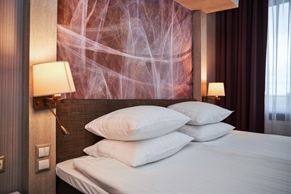 1 nakvynės poilsis SPA VILNIUS DRUSKININKAI