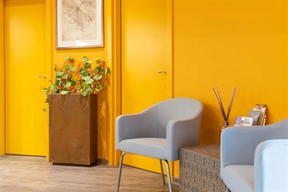 Pirminė konsultacija su psichologu V. Šapurovu