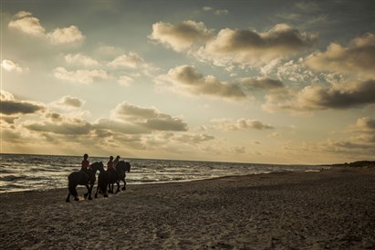 Pasirinkta pramoga Kalniaus sodyboje