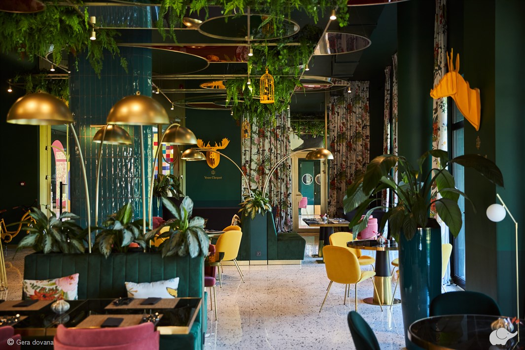 Viešnagė EGO SPA + pietūs