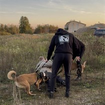 Išskirtinė pramoga „Sulaikymas su šunimi“