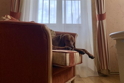 1 n. EUROPA ROYALE DRUSKININKAI + pietūs / vakarienė d. d.