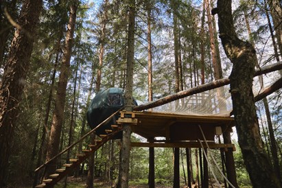 Išskirtinis poilsis medžių viršūnėse dviem