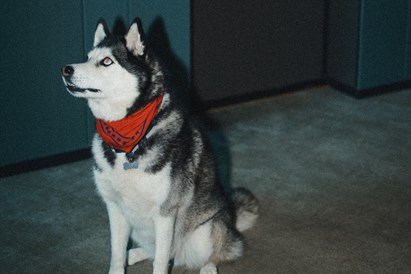 Nakvynė šeimai MANA SPA + 2 procedūros d. d.