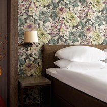 1 nakvynės poilsis Druskininkuose su vakariene