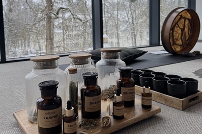 „Mind SPA“ praktika viešbutyje „Lajos“ 