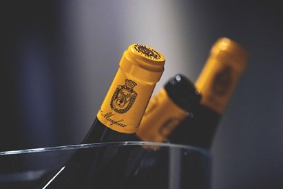 Privati vyno degustacija grupei