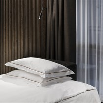 Poilsis Druskininkuose vienam + SPA d. d.