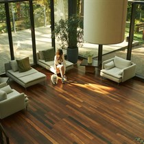 Nakvynė Molėtuose dviem + SPA ir vakarienė