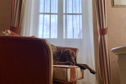 Nakvynė Druskininkuose dviem + pietūs d. d. 