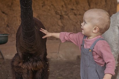 Edukacija Jonavos alpakų ūkyje šeimai