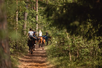 Pajodinėkite žirgais