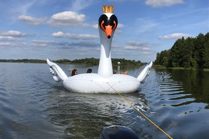 Plaukimas Kupiškio mariose milžiniška gulbe