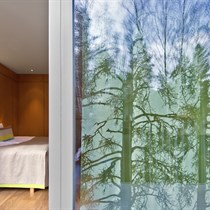 2 nakvynių poilsis Anykščiuose su SPA