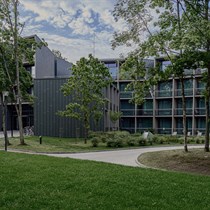 1 n. šeimai „Mana Sleep & SPA“ + procedūra d. d.