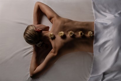 Personalizuotas SPA PACAI masažas