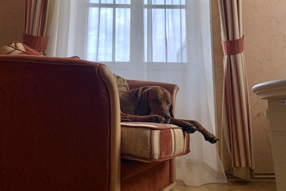 Prabangus poilsis EUROPA ROYALE DRUSKININKAI