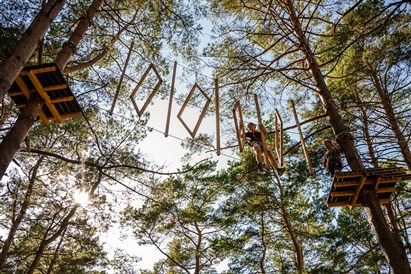 Pramogos nuotykių parke „Miškas“