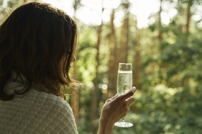 Nakvynė BELVILYJE keturviečiame namelyje