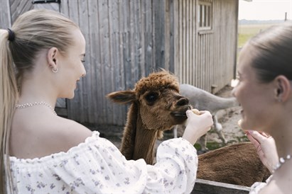 2 nakvynės Sodeliškių dvare + SPA malonumai