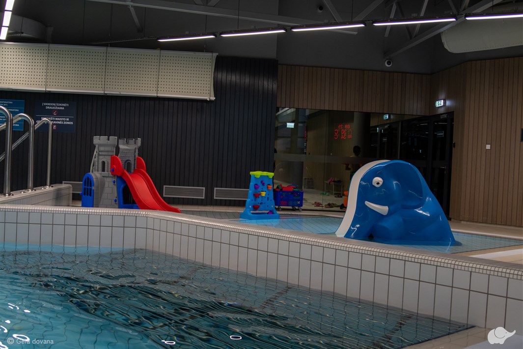 Apsilankymas baseine su SPA zona šeimai