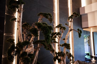 1 nakvynės poilsis su vakariene SPA VILNIUS