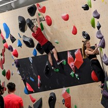 Pramogos laipiojimo uolomis centre BONOBO