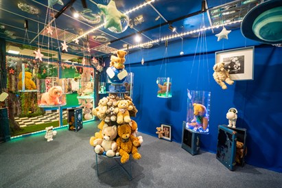 Apsilankymas Meškinų muziejuje šeimai