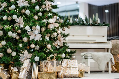 2n. poilsis viešbutyje „Gabija“ su SPA