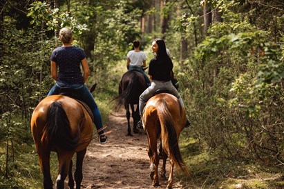 Pajodinėkite žirgais