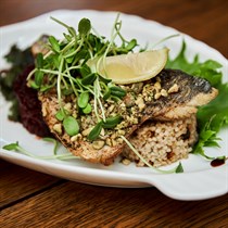 Bistrampolio dvaro restorano dovanų čekis