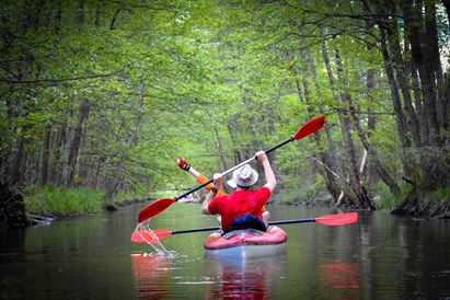 Plaukimas baidarėmis Kiaunos upe DVIEM