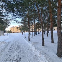 Sveikatinimo programa „Energetike“ ŽIEMA II