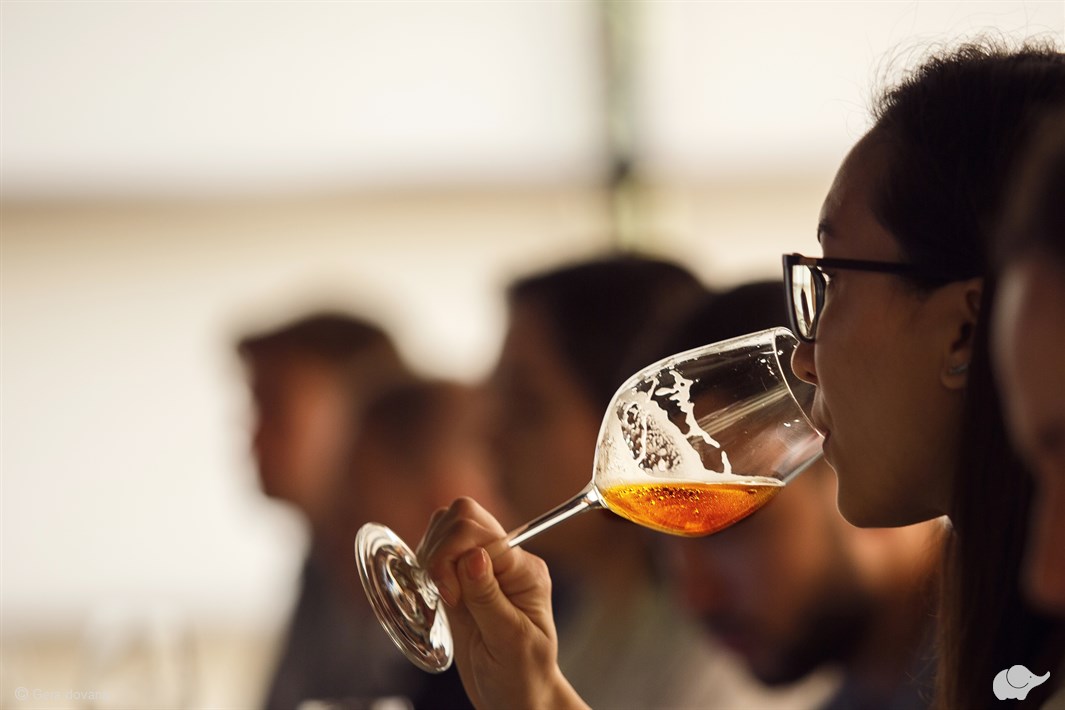 Kraftinio alaus degustacija Klaipėdoje