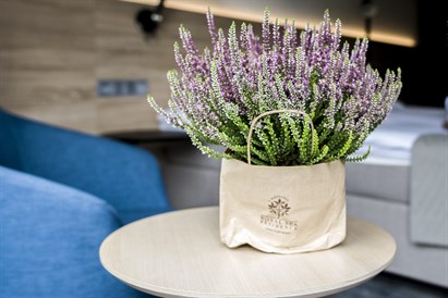 SPA poilsis Birštone „Sveikatos gerinimas“