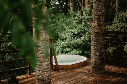 1 nakvynės poilsis ATOKAMPYJE d. d. + terapija