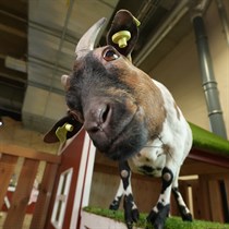 Apsilankymas ZOOPARK.LT Kaune