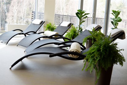 Poilsis dviem „Atostogų parko“ viloje + SPA