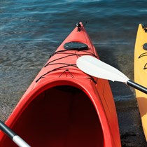 „Wake & Jump Kupiškis“ dovanų čekis