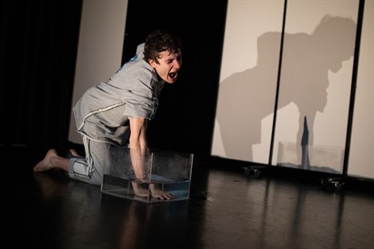 Apsilankymas rankų šešėlių teatre vaikams