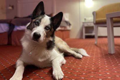 Malonus atotrūkis Druskininkuose d. d.