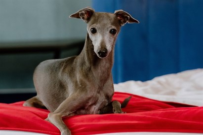 Nakvynė su vakariene EGO SPA dviem d. d.