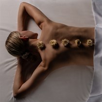 Personalizuotas SPA PACAI masažas