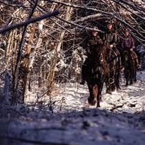 Pasirinkta pramoga Kalniaus sodyboje