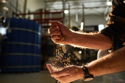 Kraftinio alaus degustacija Klaipėdoje
