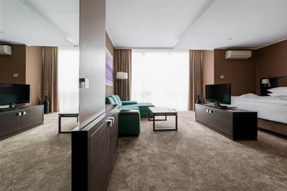 1 nakvynės poilsis Druskininkuose su vakariene